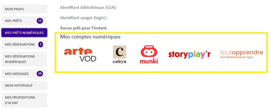 Copie écran Comptes numériques